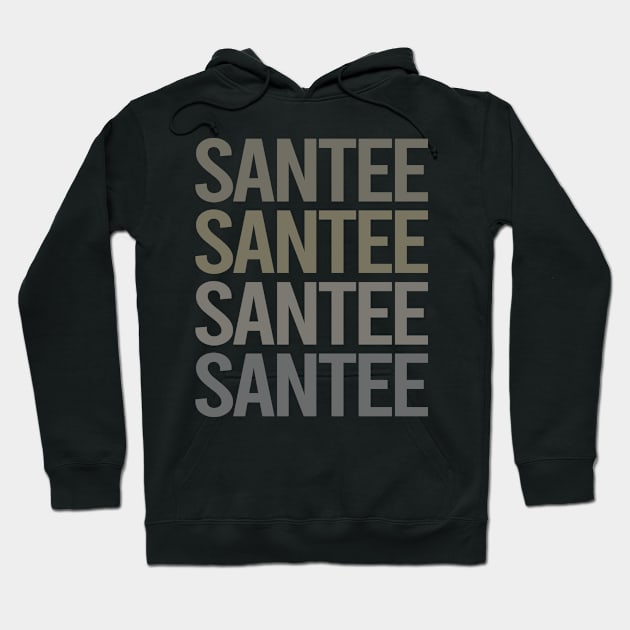 Gray Text Art Santee Hoodie by flaskoverhand